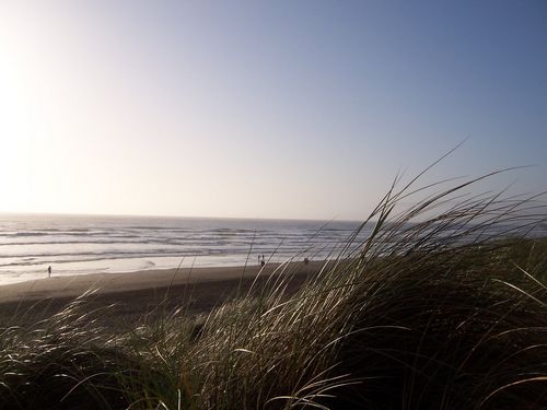Ocean Beach (palo-alto_100_8639.jpg) wird geladen. Eindrucksvolle Fotos von der Westküste Amerikas erwarten Sie.